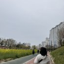 헬로봄