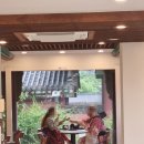 평화약방 | 선선한 날 걸어본 창덕궁 산책 코스: 인정전부터 낙선재 후원 일대까지, 고즈넉한 풍경 속으로