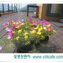 2013. 8. 1. 빛(viit), 태풍 로빈의 진로를 변경하다 이미지