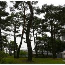 달성군청로 이미지