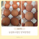 한흥농업회사법인주식회사 | [1번 계란] 농업회사법인 양계장청년 주식회사 유정란 후기