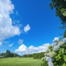 사이프러스골프리조트 이미지