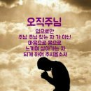 지옥행 Daum카페
