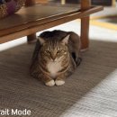 P.C게임방 이미지