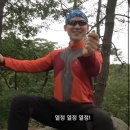 펫츠가든 이미지