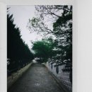 영주동오름길모노레일-A구역 | 부산역에서 출발, 168계단, 역사의 디오라마, 영주동 엘리베이터, 메리놀 병원 지나 광복동까지 걸어보기