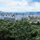 달서구청 좌측 이미지