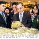 브라운 테팔 매장 이미지