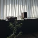 빌라오몬도 이미지