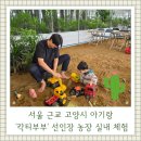 서울농장 | 서울근교 아기랑 '칵티부부' 선인장농장 내돈내산 후기 (유아실내체험, 모래놀이)