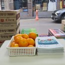 귤약국 네이버블로그