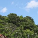 임실중앙요양병원 이미지