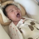 세종 스튜디오 감성더하기 세종점 50일촬영 후기