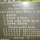 초아(超我)의 봉사 이미지