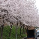 고향의봄도서관 이미지