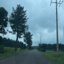 스카이워터쇼 이미지