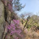 서촌마을회관 | 박신양 그림 전시회 전시쑈 다녀온 후기