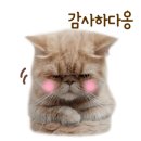 마티나로스팅커피머신 이미지