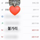 (유)골드고속투어 | 백화점 웨딩밴드 투어/신세계 본점/반클리프아펠/다미아니/피아제 - 가격, 실착 후기, 구매 꿀팁...