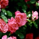 장산휘트니스클럽 이미지