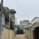 (주)하이프라자 동대전본점 | 대전 가오픈 일본식 베이커리 카페 ‘베이커리 킥’ 내돈내산 방문후기｜과일산도·생식빵·소금빵