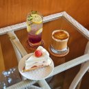 햇살가득 | 대구 성당못 카페 성당못빌 내돈내산 | 햇살 가득 감성카페 시그니처라떼 후기