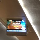 롯데전주기비 | 야구보려고 퇴사했냐고요?(몰루😶)