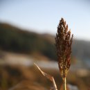 채림효원 네이버블로그