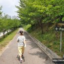 남서울컨트리클럽제2연습장 이미지