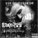 971016 네이버블로그