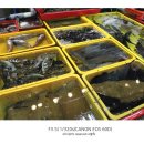 대양상회 이미지