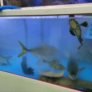 수산가옥 이미지