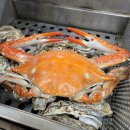 올집시그니처 | 천북굴단지 우리집굴수산｜굴찜은 기본, 해산물 시그니처 B세트 풀코스 후기