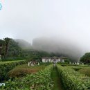 (주)가고파여행 이미지
