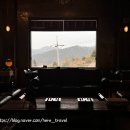 캠프 인더숲 | 양평 LP카페 인더숲 솔직 후기 (가는 길 주의사항 포함)