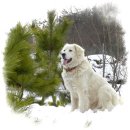 보광농원 이미지