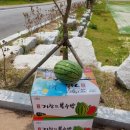 참깨비마을 이미지