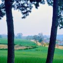 무학세탁소 이미지