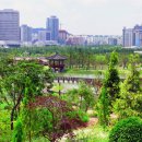 한밭수목원2 이미지