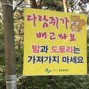 람쥐야 도토리 이미지