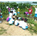 만석군농장 이미지