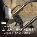 클래식더짐 | 내돈내산 Review] 오이스터 4 / 매트브라운 + 헤리티지브라운 / 송도베이비하우스 / 실제 색상느낌