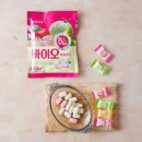 강아지 뷰티 이미지