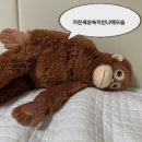 무전빌딩 | 결혼식 성료 | 레노스블랑쉬/렌느브라이덜/히엘/헤리츠테일러/캐치아이웨딩/아뜰리에윤 솔직후기