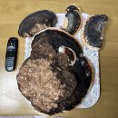 설악산건강원 이미지