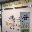 (주)아이들 이미지