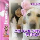하이디 - 임실군 춘향로 3726-8 | 하이디