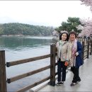 해군사관학교 박물관 이미지