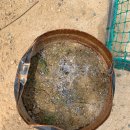 바른정비서비스(1급) 이미지