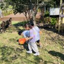 가을 숲으로 놀러가자 이미지